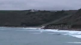 Dolphins spotted surfing off Cornish coast