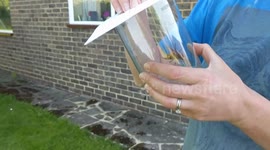 Gigantic monster hornet found in Kent house