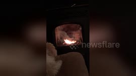 Newsflare Edit - Puppy scared of own reflection