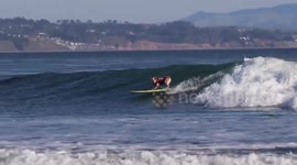 Dog shows off amazing surfing skills on California beach