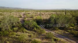 ARIZONA DESERT VIEWS