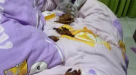 Landlady finds her apartment filled with rubbish