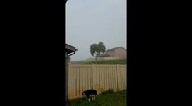 Volcanic Fog in Hawaii after Eruption