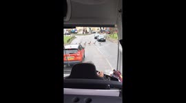 Family of geese stop traffic as they cross busy road in London