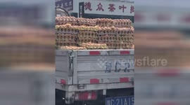 洛阳一货车拉的鸡蛋孵出小鸡了?真相在这里