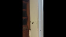 The spider eats a fly