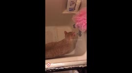A drink of water
