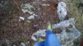 Walking trough the woods