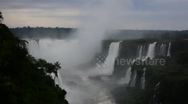 Flock of birds into Iguazu Falls