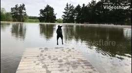 The best dog living his best life