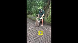 Worker Play With Smart Monkey