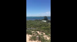 Pelicans flying over Penguin Island, Western Australia
