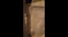 crazy snowstorm