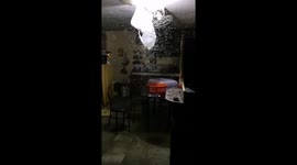 Sudden insect invasion