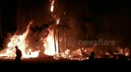 Major brush fire burns in Daytona Beach, Florida