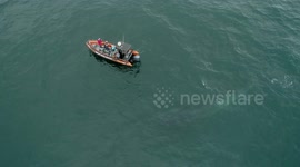 Mugged by a whale