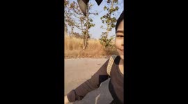 Wild pigeon 'races' teenager on motorbike