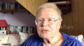 Pensioner trapped in woods has hailed her own 'Lassie' dog a life-saving hero for rescuing her