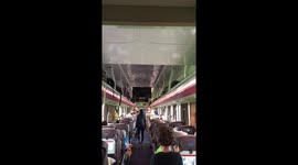 Bat gets trapped inside a train in Vietnam and flies manically backwards and forwards through the carriage.