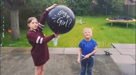 Gender reveal