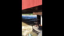 River near flood stage