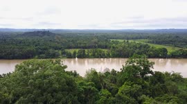 Rainforest River Drone Flyover - Kinabatangan River, Borneo Malaysia - 2.7K
