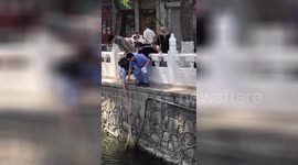 Sanitation worker rescues cat falling into river