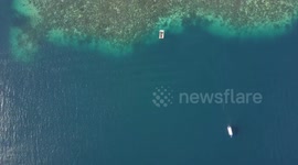 Fly over Blue Waters and Tropical Island Birds Eye View - Manukan Island, Kota Kinabalu, Borneo Malaysia - 2.7K