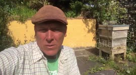 Message to self. Should not try and be clever and film a selfie video in front of a busy bee hive.