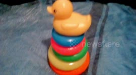 Learn Colors with  Brilliant  Basics Rock  a Stack Toy  with Duck videos