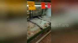 Newsflare Edit - jamaican vs american fight at the mall