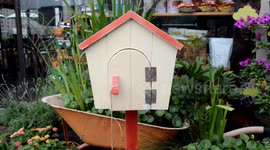 上海闹市商务楼屋顶开农场可种菜养猪