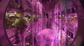 Space lab volunteers return to real world after 1-year simulation