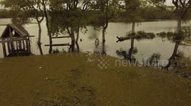 Pantanal (DJI Mavic Pro - 4K)
