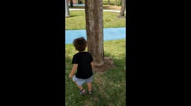 Squirrel Vs. Baby