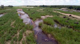 DRONE OVER THE KRUGER NATIONAL PARK