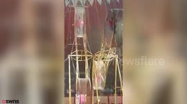 Circus performer narrowly dodges death after falling 30ft from giant spinning wheel