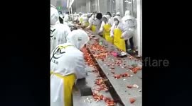 Massive food fight breaks out at Chinese crawfish processing plant