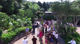 Indian Wedding Celebration Drone