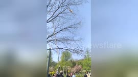Cat rescue nearly goes horribly wrong after feline gets prodded by giant bamboo stick