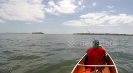 Man unhooks shark with bare hands
