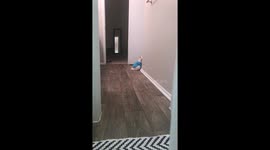 Failed attempt at being in stealth mode