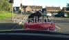 Giant dog in convertible car