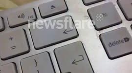 test vid