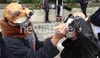 Anti badger cull gathering