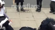 Save the Badger Protest Dance Parliament Square
