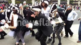 Save The Badger Awareness Dance 2012