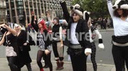 Anti-badger Cull Flash Mob Dance
