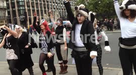 Anti-badger Cull Flash Mob Dance