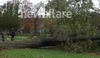 Hurricane Sandy, West Haven Green, Connecticut.